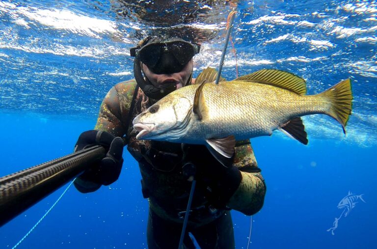 spearfishing-tours-Malta