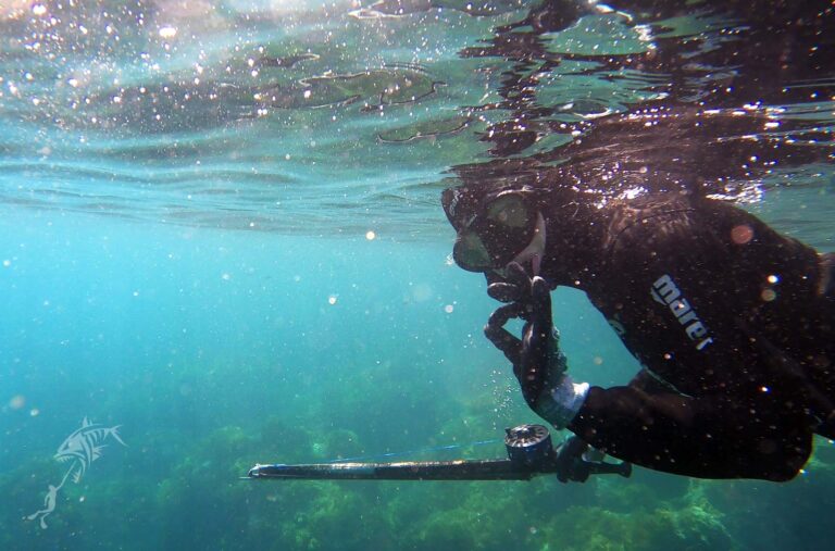 spearfishing course malta