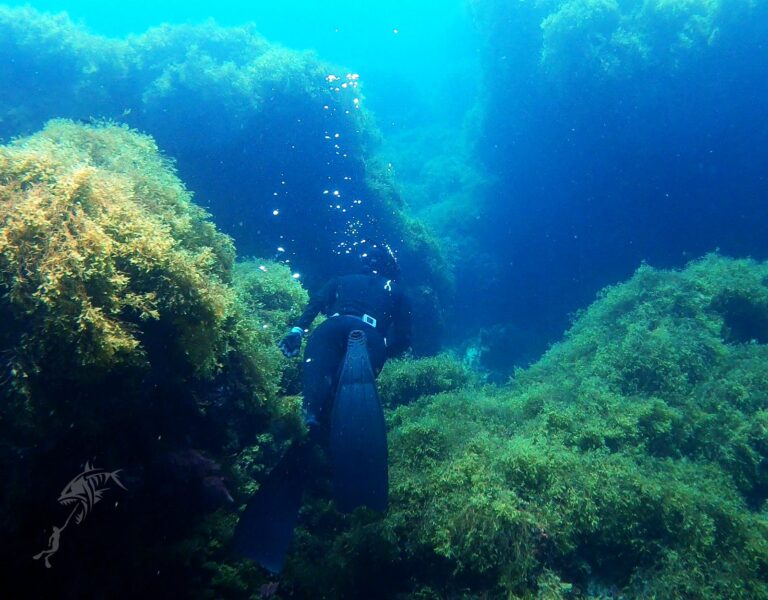 freediving-excursion-Malta