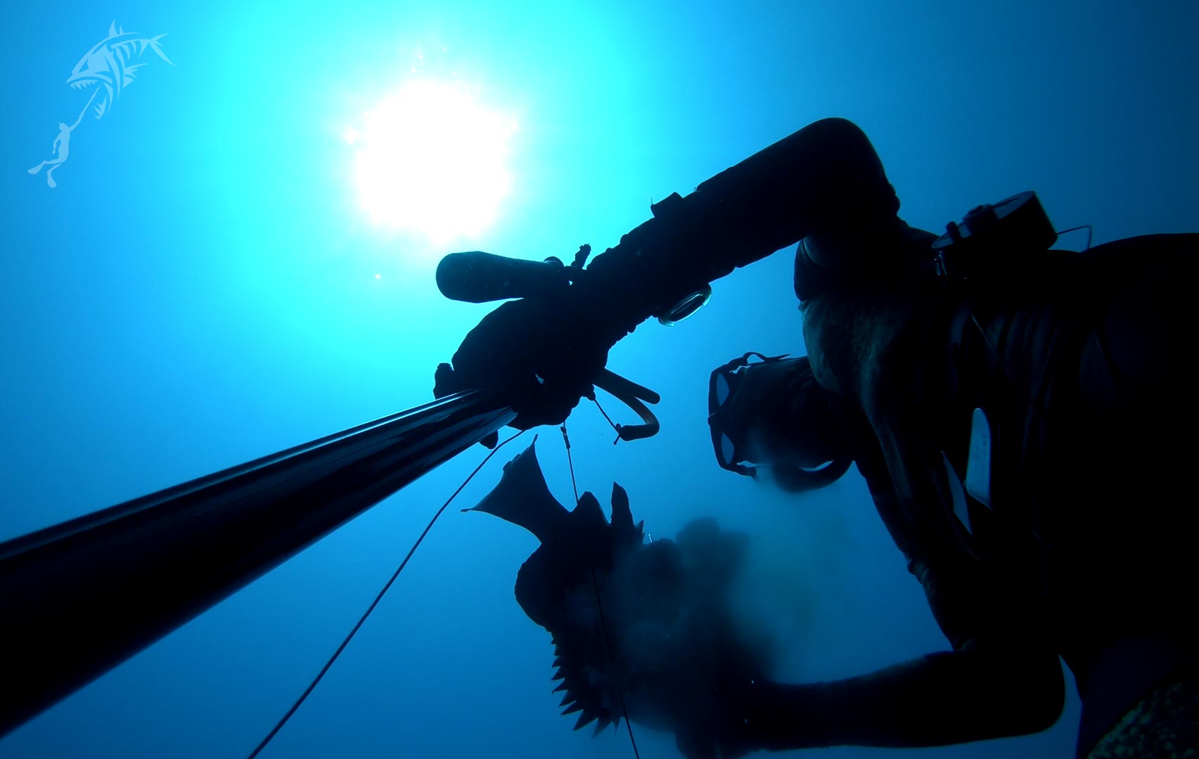 spearfishing course malta advanced spearfishing